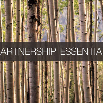 Partnership essentials