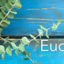 Eco-Friendly Eucalyptus