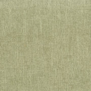 Celery Colour - soft light green