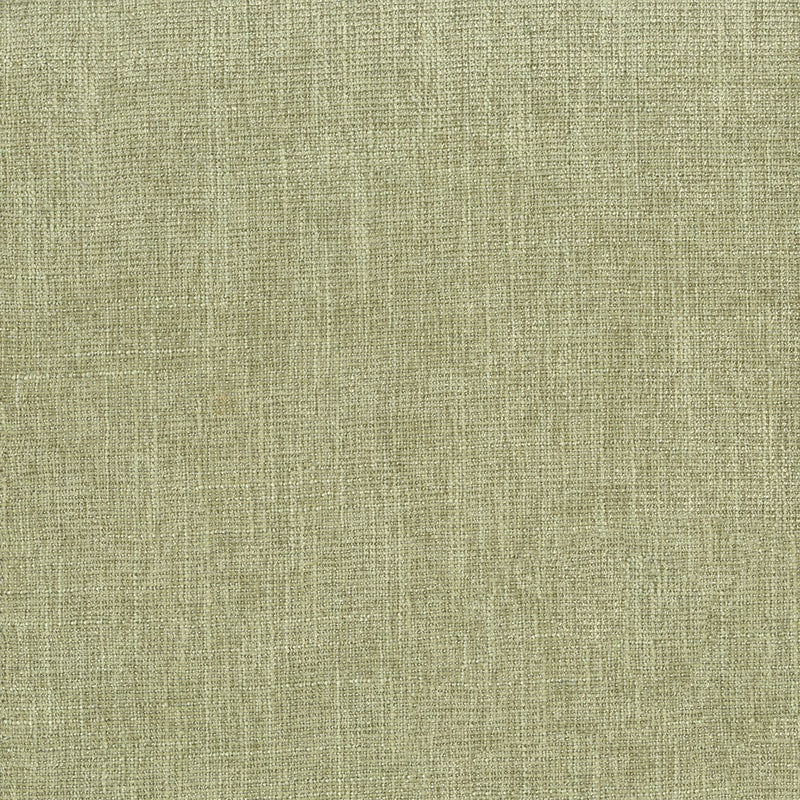 Celery Colour - soft light green