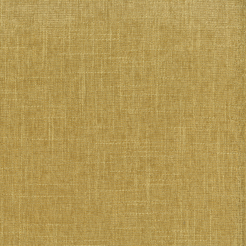 Mustard Colour - warm golden tones