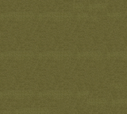 Rich Leaf Green Coloured Fabric