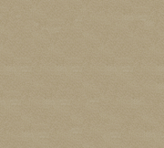 Soft Sand Coloured Fabric 