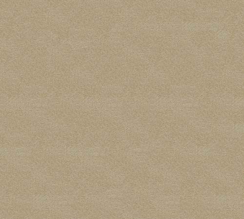 Soft Sand Coloured Fabric 